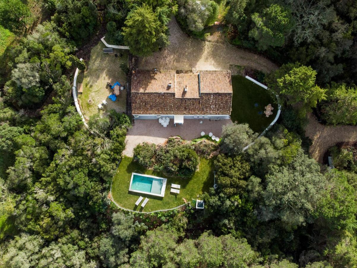 Quinta Da Arrabida Βίλα Σεσίμπρα Εξωτερικό φωτογραφία