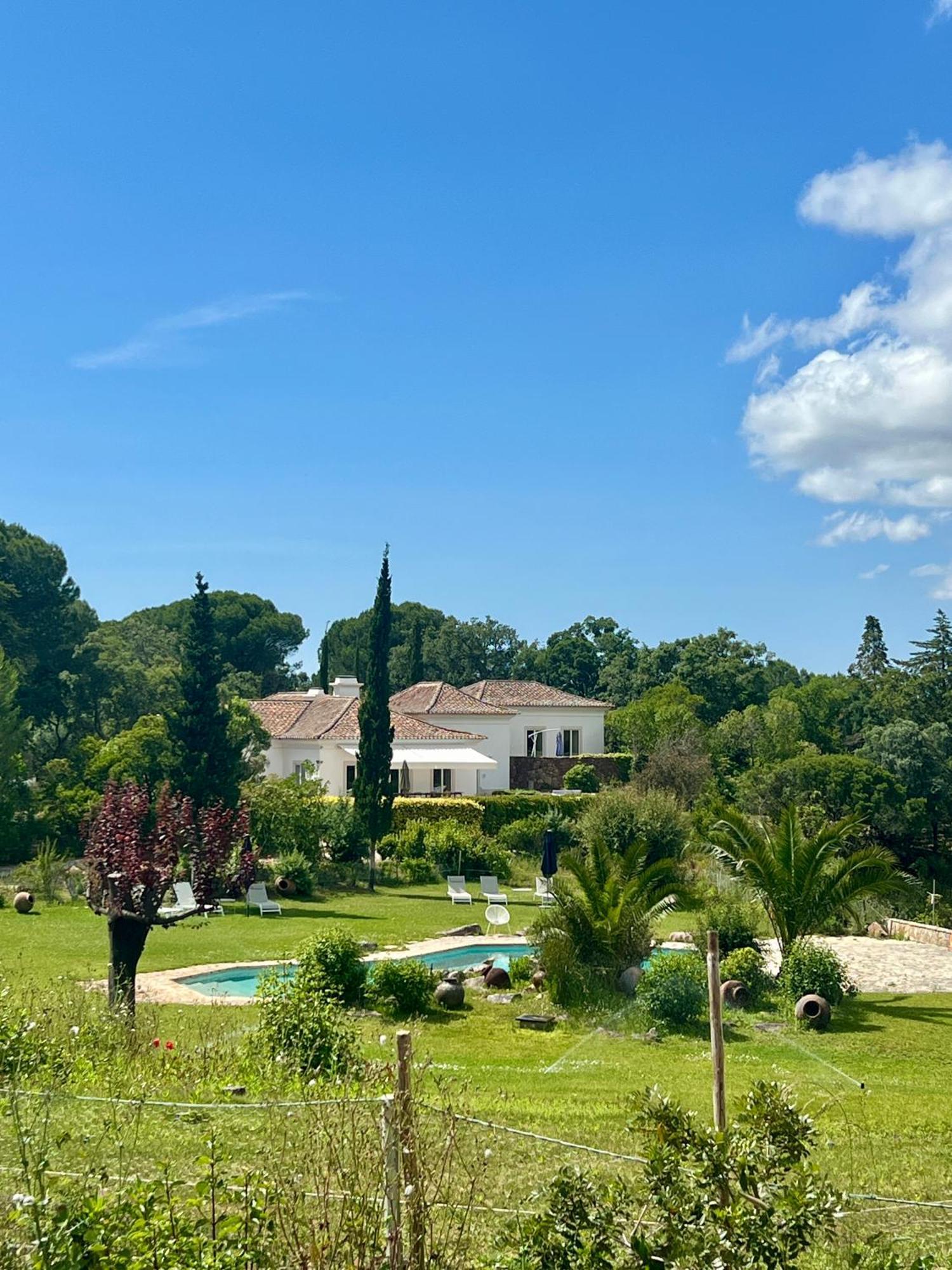 Quinta Da Arrabida Βίλα Σεσίμπρα Εξωτερικό φωτογραφία